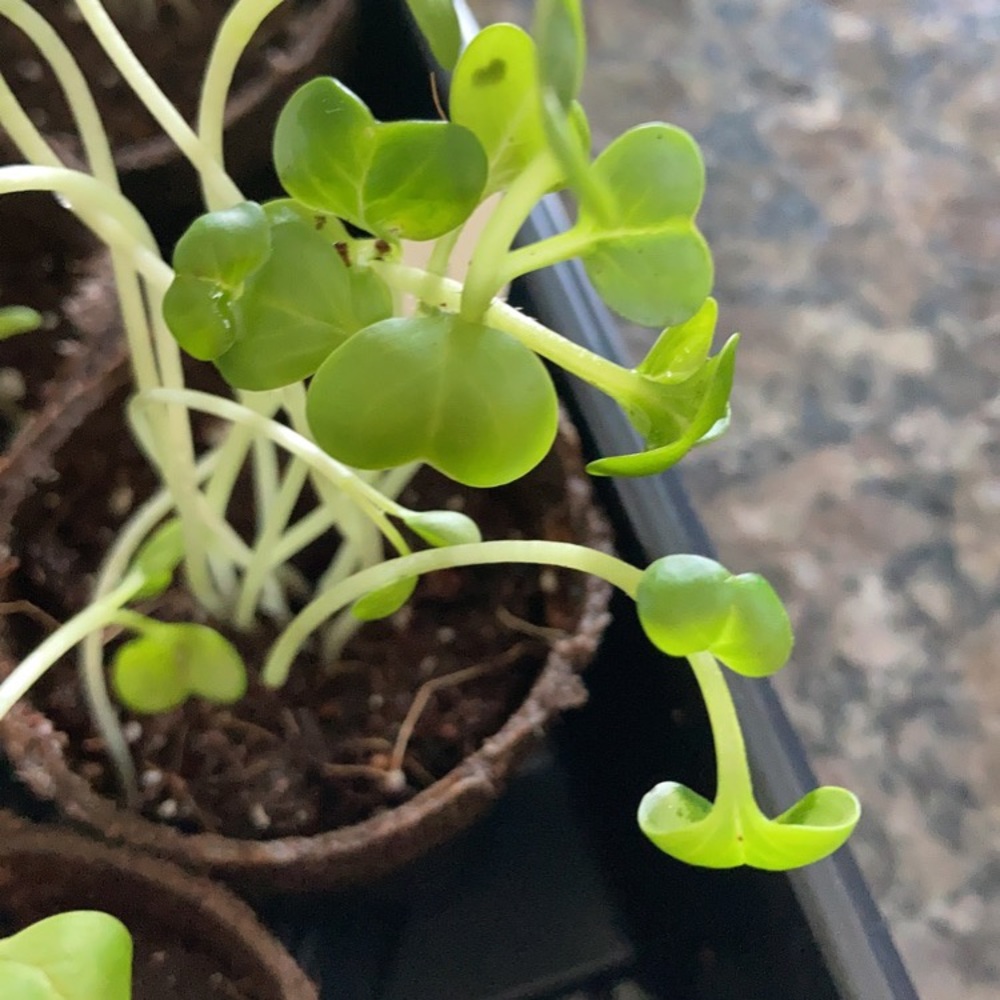 Meet your Posher, Bethany